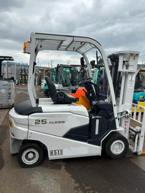 니찌유 FB25PN-80B-300WBSAF 2.5톤 (2021년)